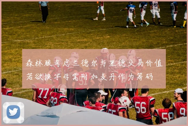 森林狼考虑兰德尔与里德交易价值若欲换字母需附加麦丹作为筹码
