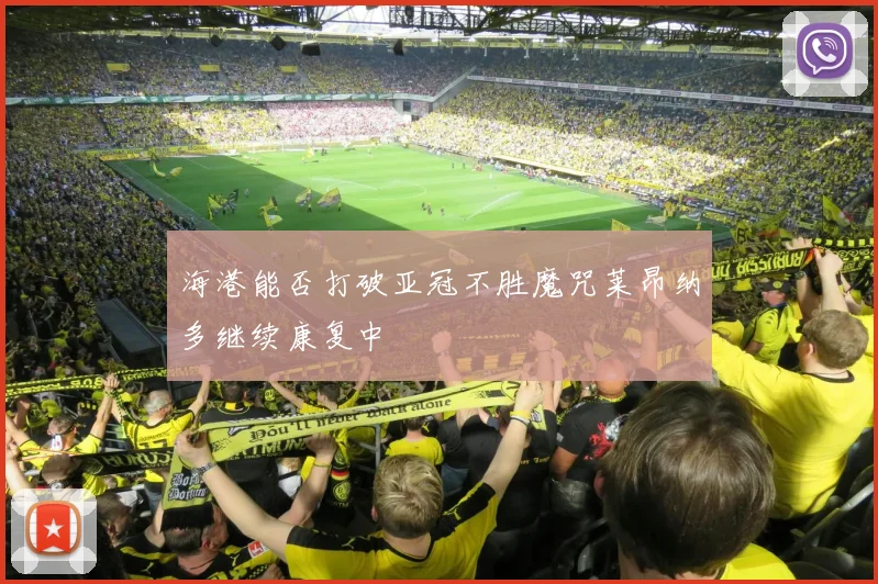 海港能否打破亚冠不胜魔咒莱昂纳多继续康复中