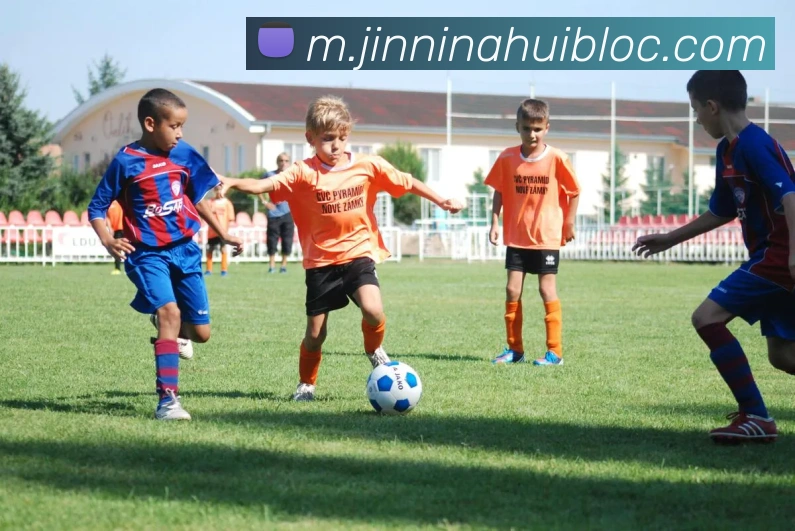 今年会官网平台生态图