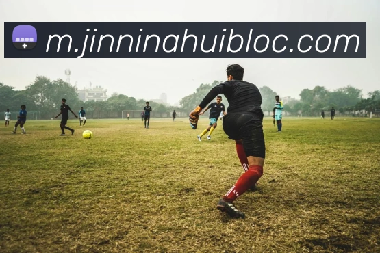 今年会官网全站App